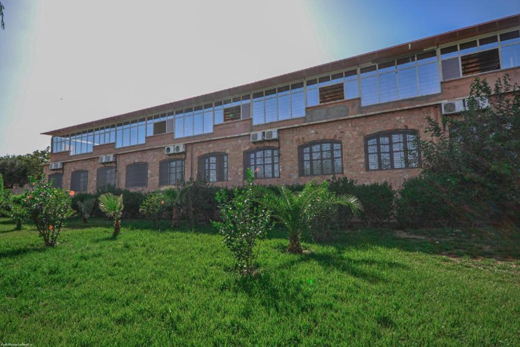 L'Oliveraie D'Amizmiz Extérieur photo